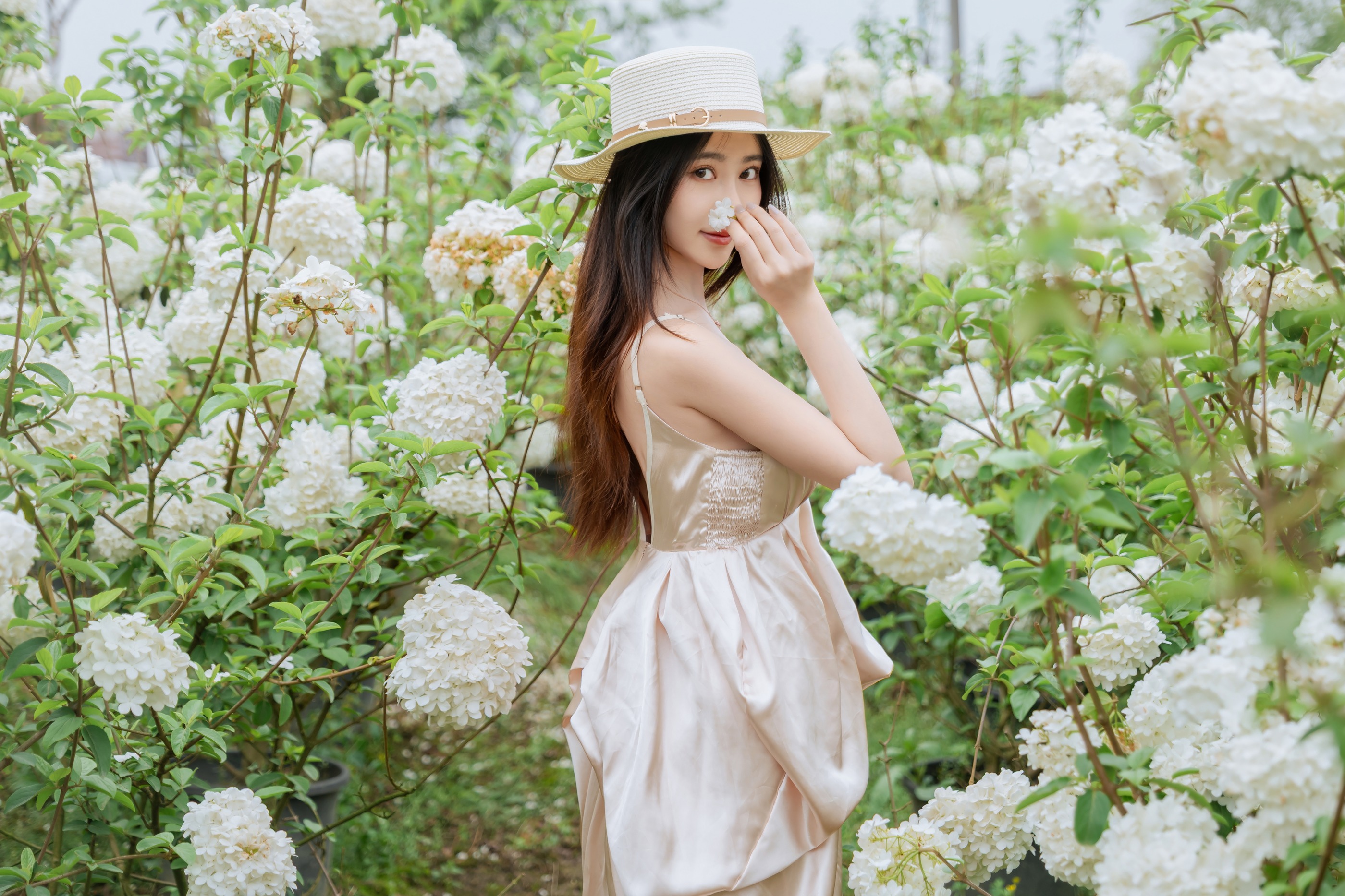 图片[1]-年年nnian – NO.147 木绣球 [82P]-XikXak